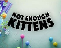 Not Enough Kittens Not Enough Kittens
