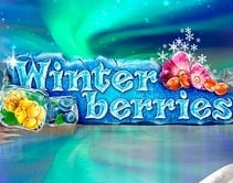 Winterberries Winterberries